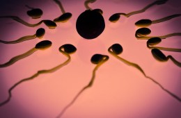 Sleep Affects Sperm DNA